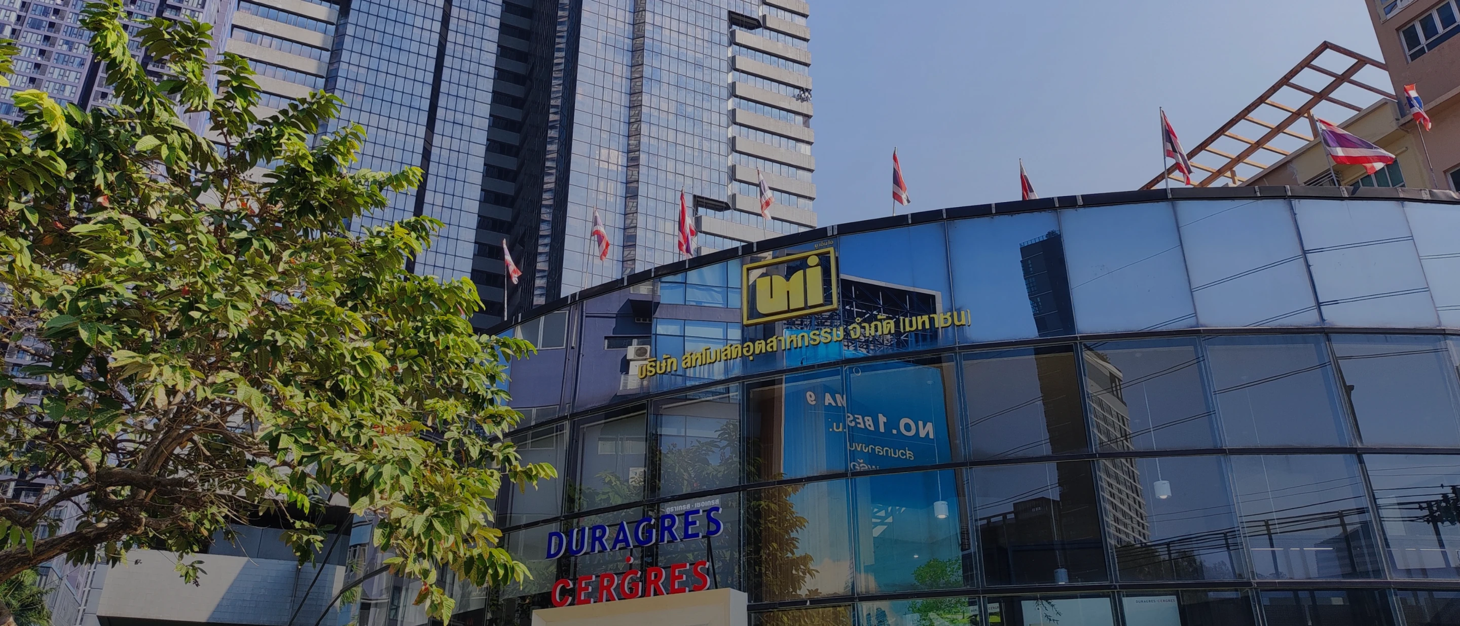 Company Overview